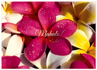 HAWAIIAN PLUMERIA MAHALO CARD